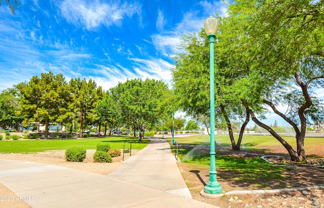 view of community with a yard