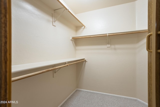 spacious closet featuring carpet