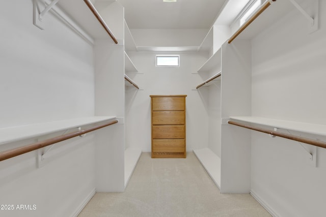 walk in closet with light carpet