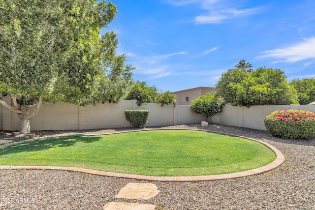 view of yard with a fenced backyard