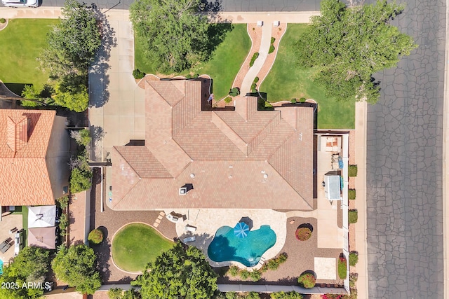 bird's eye view