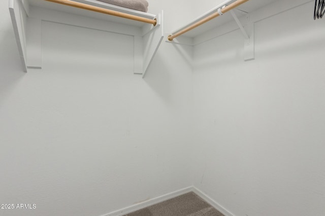 walk in closet with carpet floors