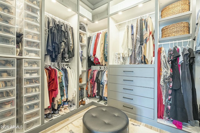 view of spacious closet