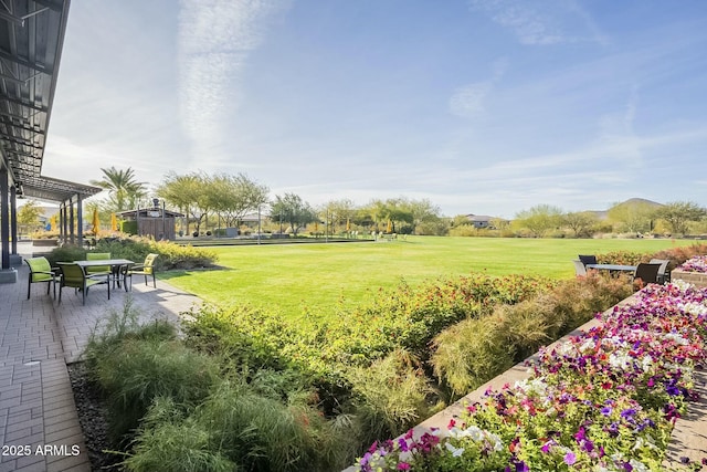 view of yard with a patio