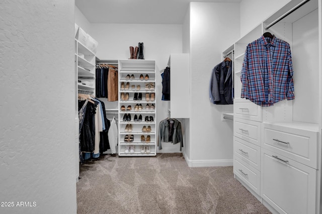 walk in closet with carpet floors