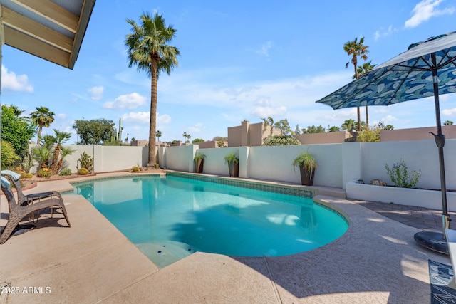 view of pool featuring a fenced backyard, a fenced in pool, and a patio area
