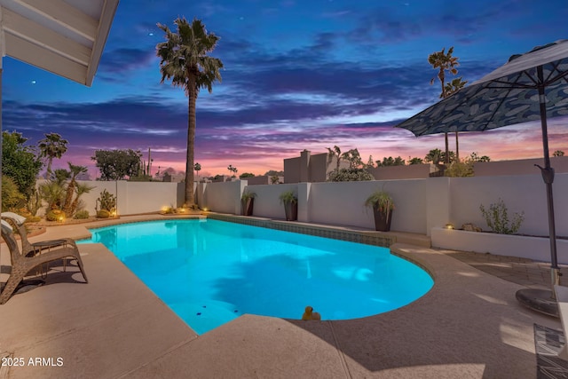 view of pool with a fenced backyard, a patio area, and a fenced in pool