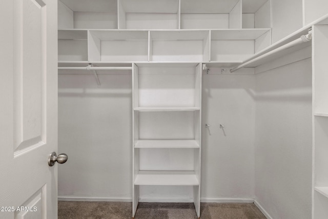 4753 E Bighorn Ave, Phoenix, AZ 85044 - walk in closet with carpet flooring