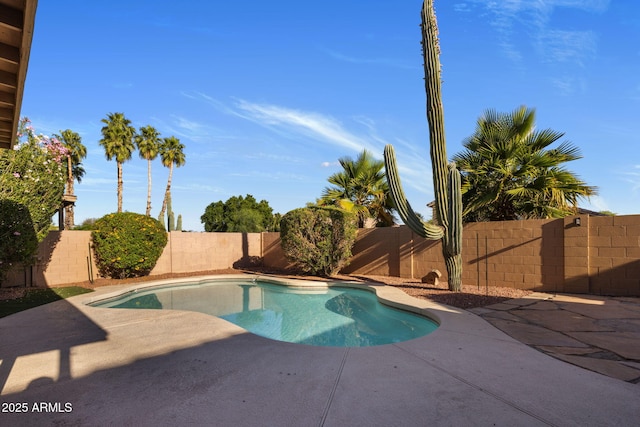 4753 E Bighorn Ave, Phoenix, AZ 85044 - view of swimming pool featuring a patio and a fenced backyard