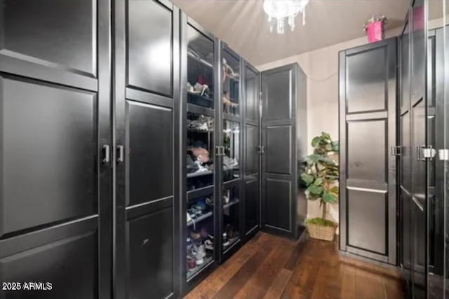 514 E Pearce Rd, Phoenix, AZ 85042 - spacious closet featuring dark wood-style floors