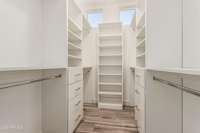 spacious closet featuring wood finished floors
