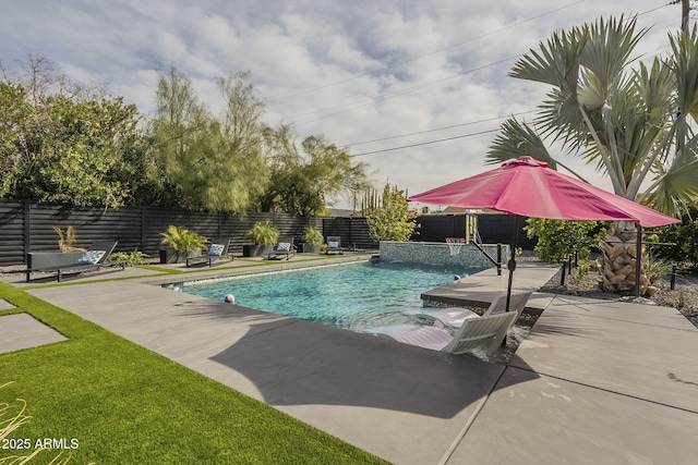 view of swimming pool featuring a fenced in pool, fence private yard, and a patio area
