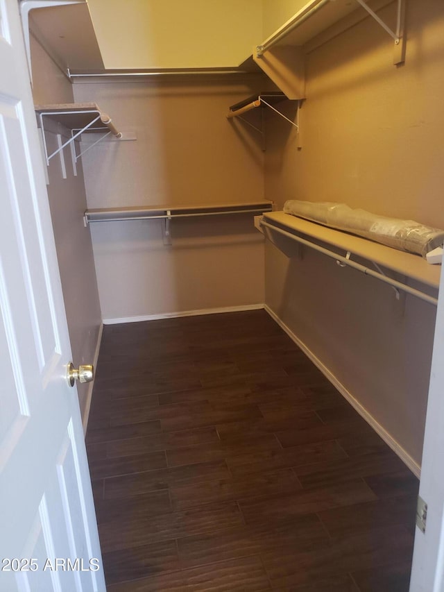 spacious closet with dark hardwood / wood-style flooring