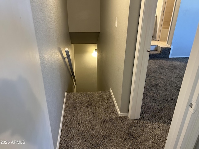 2301 E University Dr Unit 269, Mesa, AZ 85213 - staircase with carpet and a textured wall