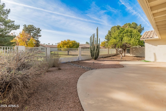 view of yard featuring a patio area