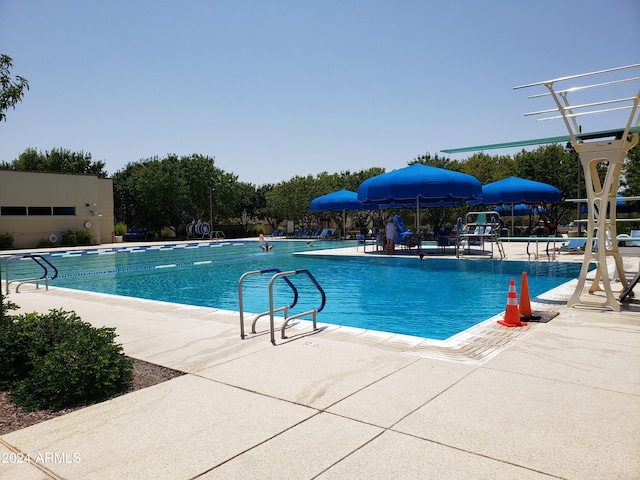 view of swimming pool featuring a patio area