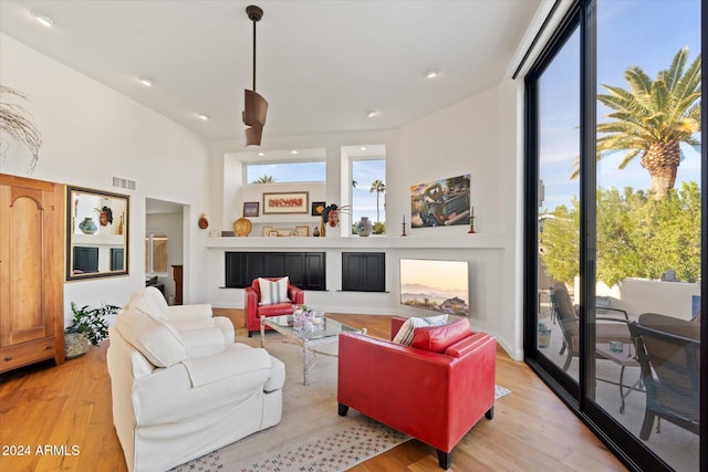 living room with light wood-type flooring and a wealth of natural light