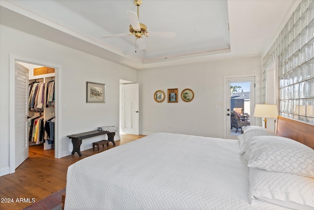 bedroom with a walk in closet, ceiling fan, a tray ceiling, wood-type flooring, and a closet