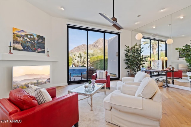 living room featuring a mountain view and light hardwood / wood-style flooring