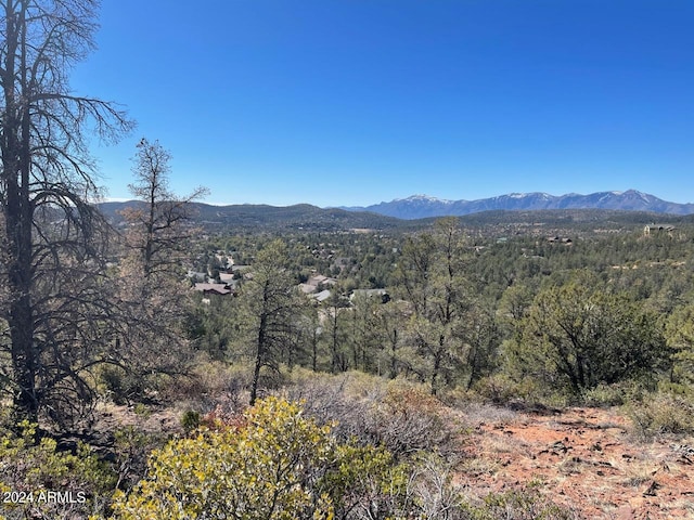 1005 W Falcon Lookout Ln Unit 10, Payson AZ, 85541 land for sale