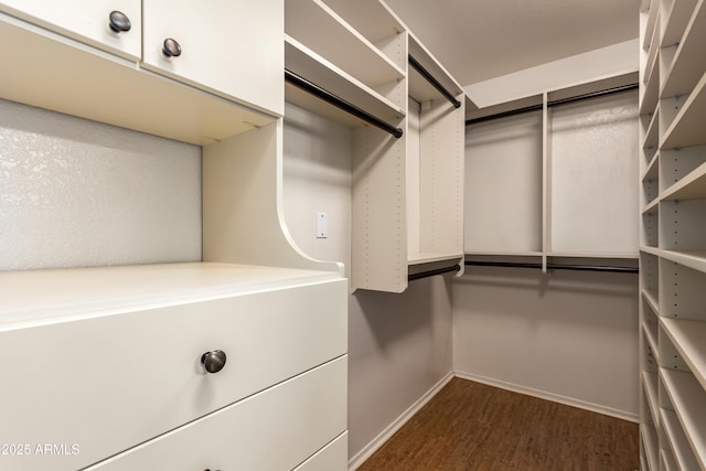 walk in closet with dark hardwood / wood-style floors