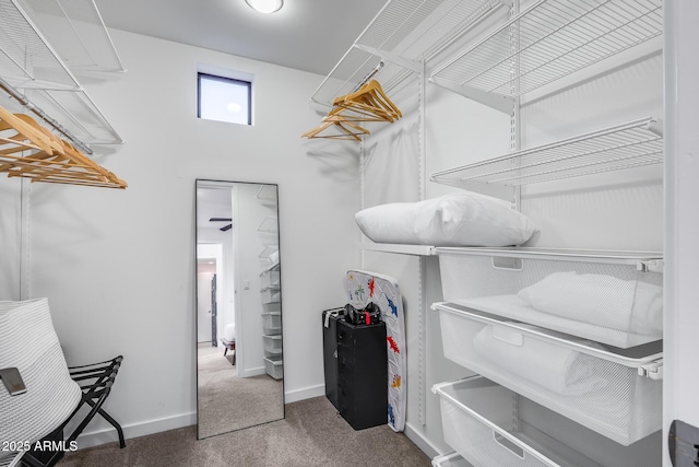 walk in closet featuring carpet