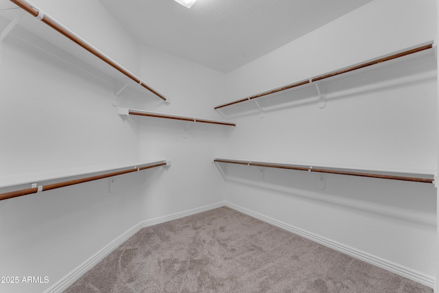 walk in closet featuring carpet