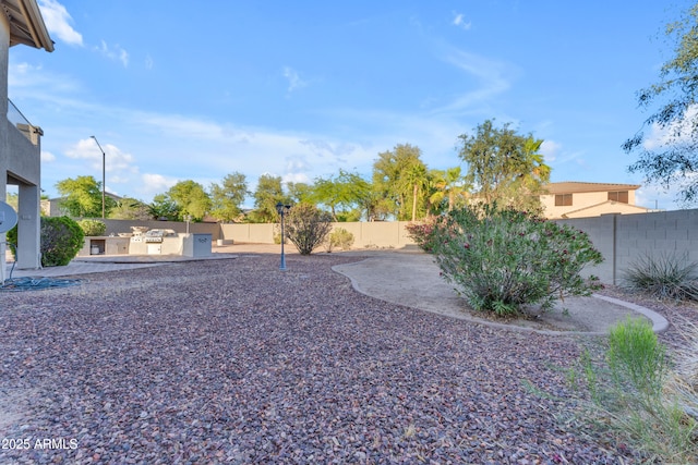 view of yard with a fenced backyard, a patio, and exterior kitchen