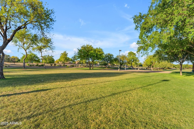 view of community with a lawn