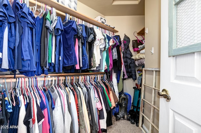 walk in closet with carpet flooring