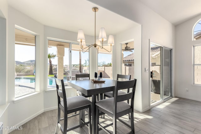 dining room with light hardwood / wood-style flooring and ceiling fan with notable chandelier