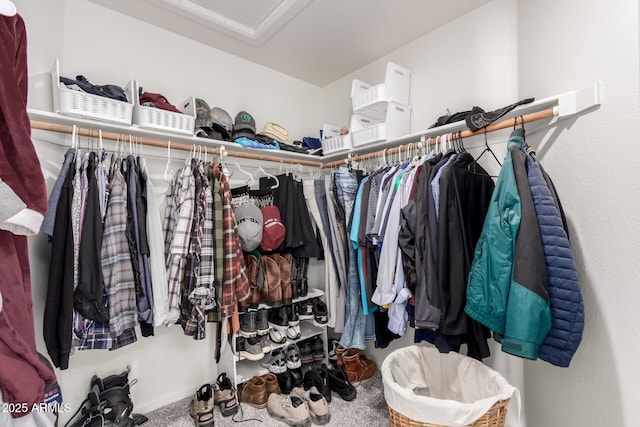 walk in closet featuring carpet