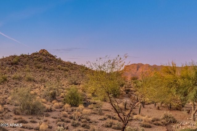 view of mountain feature