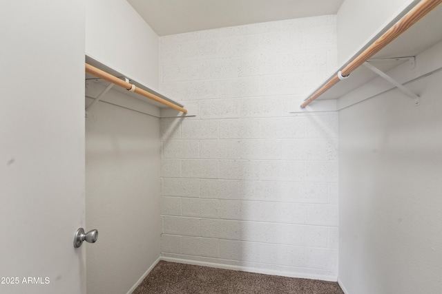 8125 N 32nd Dr, Phoenix, AZ 85051 - walk in closet with carpet