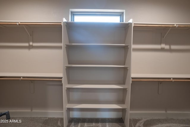 5974 E Elk Spgs, Lakeside, AZ 85929 - spacious closet featuring carpet