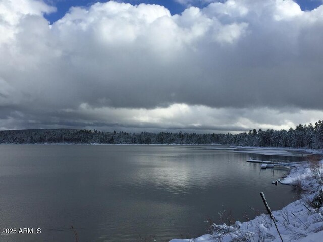 5974 E Elk Spgs, Lakeside, AZ 85929 - water view featuring a forest