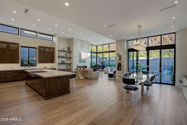 kitchen with light wood finished floors, visible vents, modern cabinets, and floor to ceiling windows