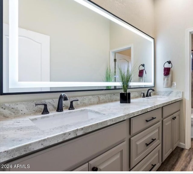 bathroom with vanity, hardwood / wood-style flooring, and toilet