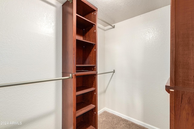 walk in closet featuring carpet floors