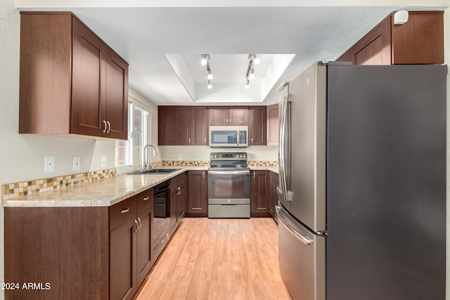 kitchen with a raised ceiling, light hardwood / wood-style floors, sink, and stainless steel appliances