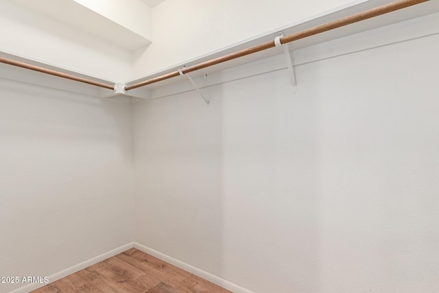 walk in closet featuring hardwood / wood-style floors