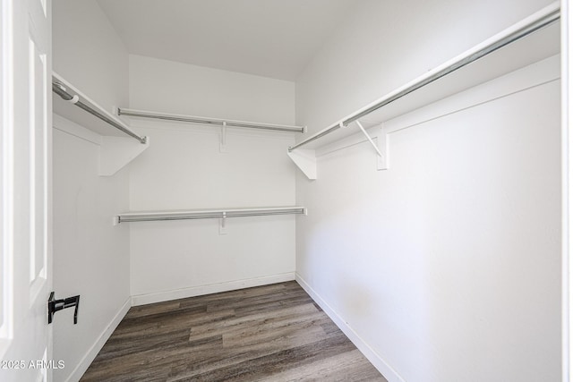15365 W Valentine St, Surprise, AZ 85379 - walk in closet with wood finished floors