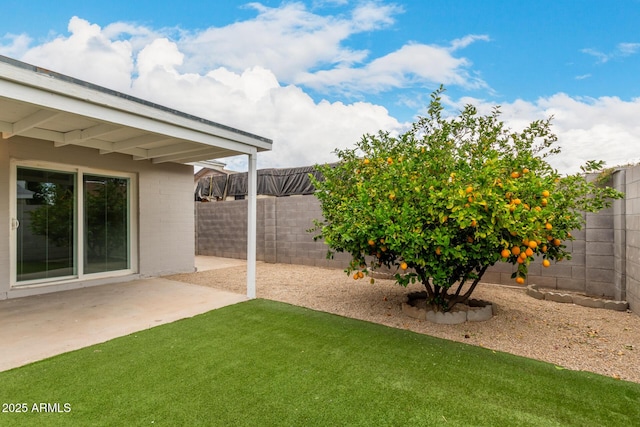 view of yard featuring a patio and a fenced backyard