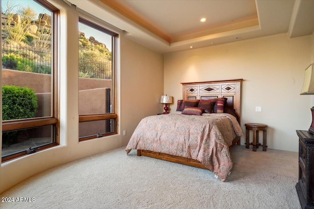 bedroom featuring a raised ceiling and carpet floors