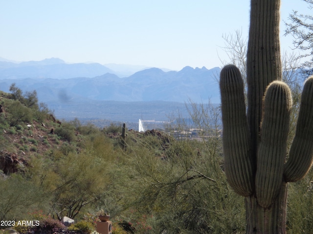 14517 E Shadow Canyon Dr Unit 34, Fountain Hills AZ, 85268 land for sale