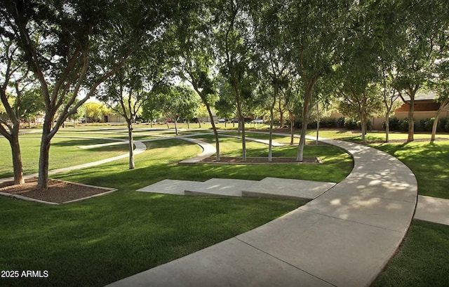 view of property's community with a yard