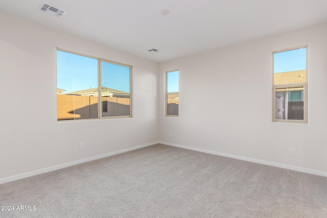 empty room with carpet and a wealth of natural light