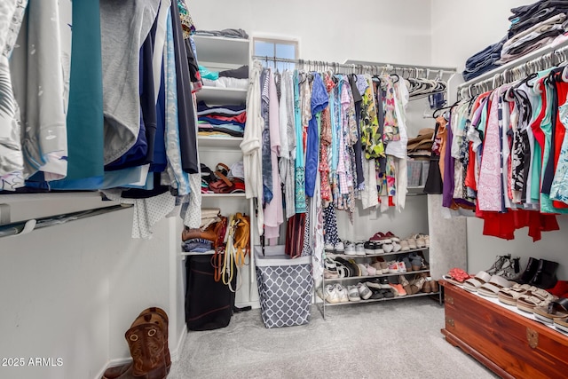 walk in closet with carpet