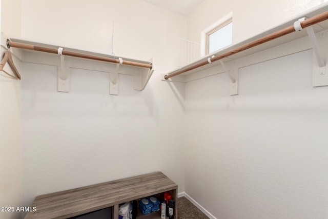 6746 W Wethersfield Rd, Peoria, AZ 85381 - spacious closet with carpet flooring