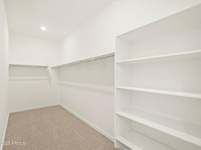 spacious closet featuring carpet flooring